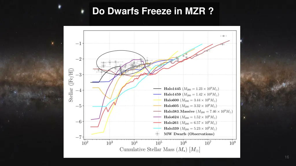 do dwarfs freeze in mzr