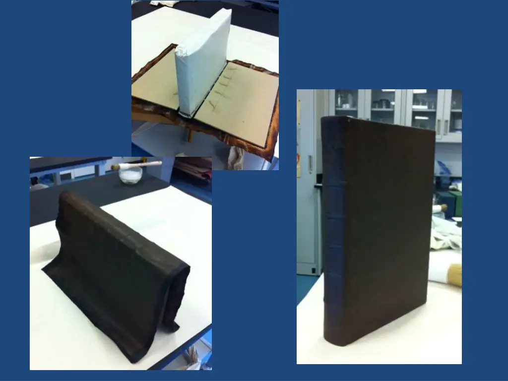 slide11