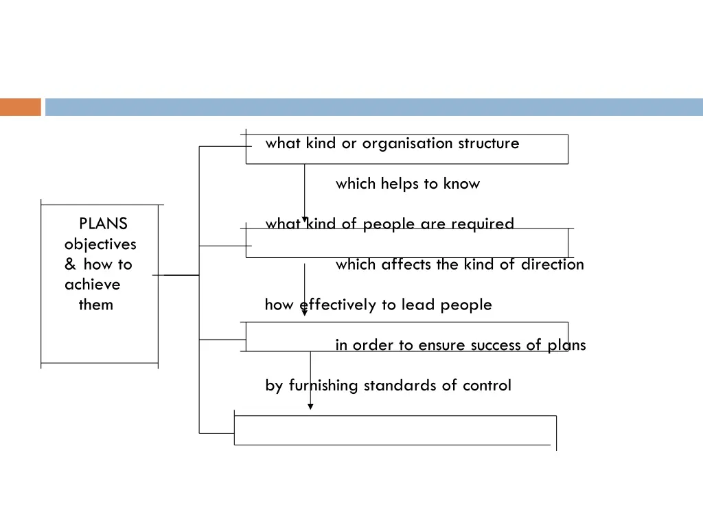 what kind or organisation structure