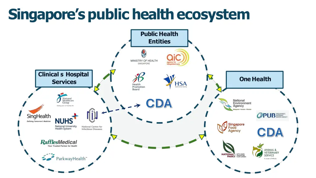 singapore s public health ecosystem