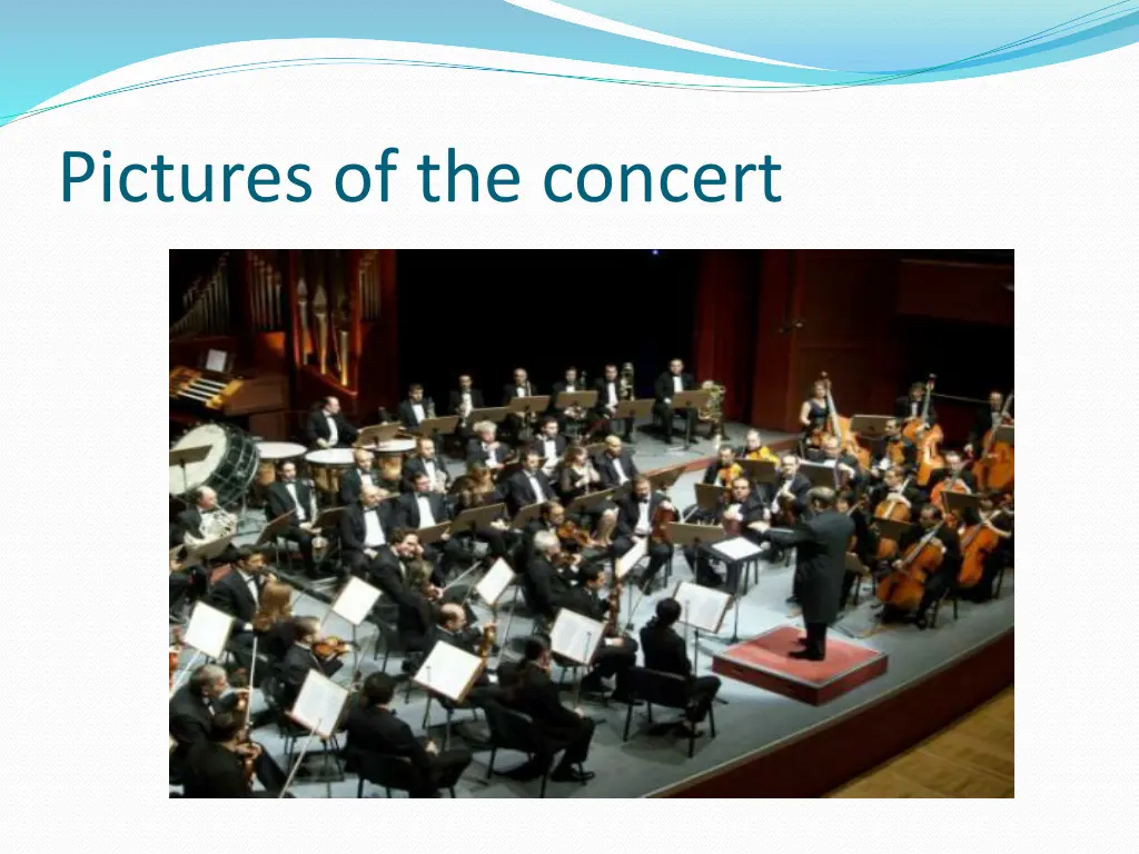 pictures of the concert