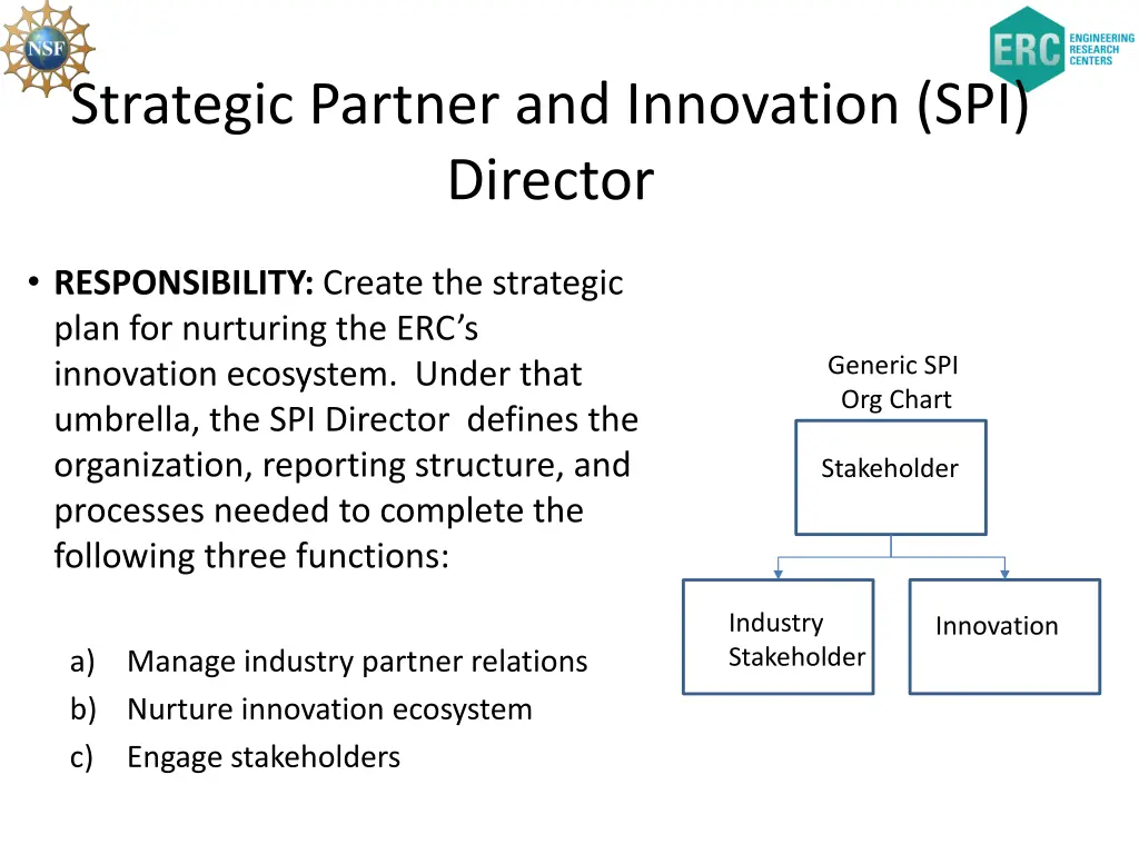 strategic partner and innovation spi director
