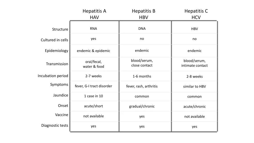 hepatitis a hav