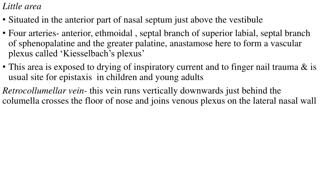 little area situated in the anterior part