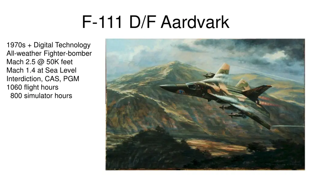 f 111 d f aardvark