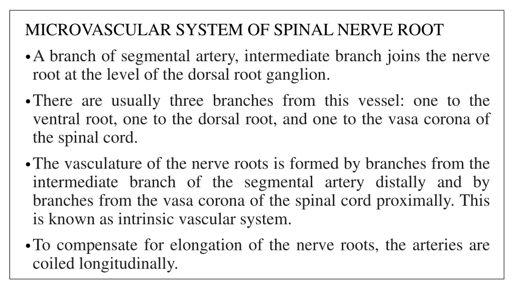 microvascular system of spinal nerve root