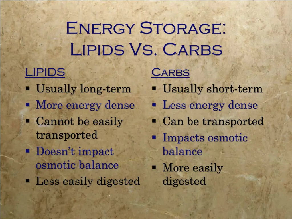 energy storage lipids vs carbs