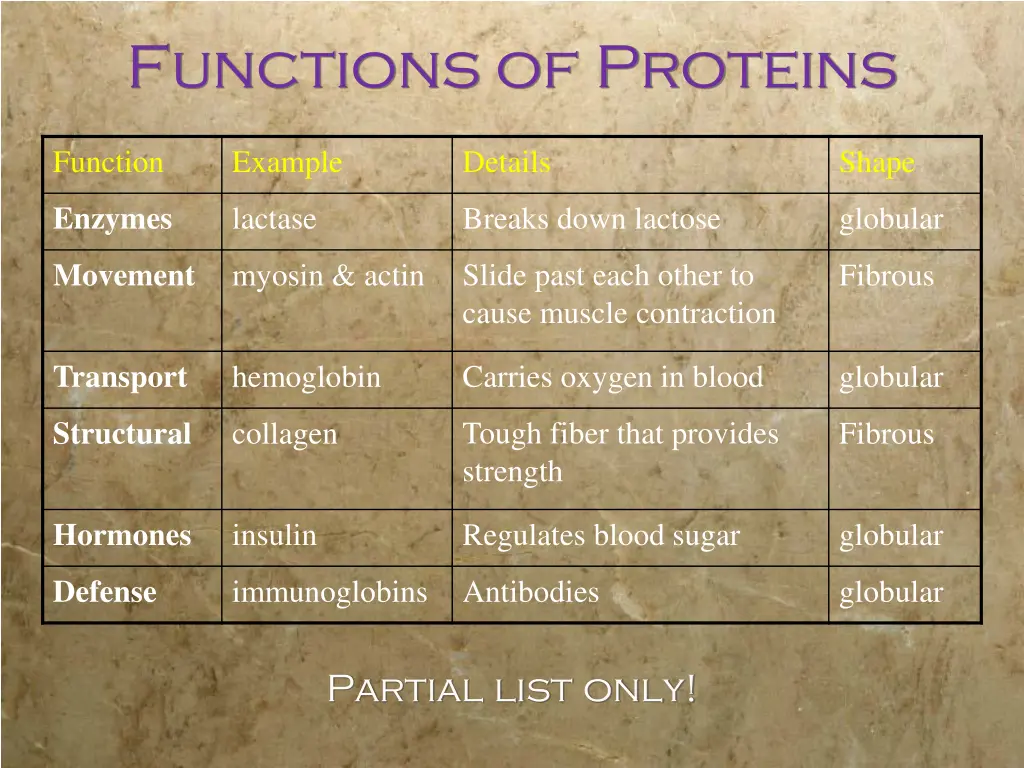 functions of proteins