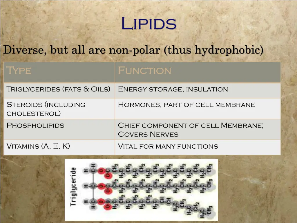 lipids