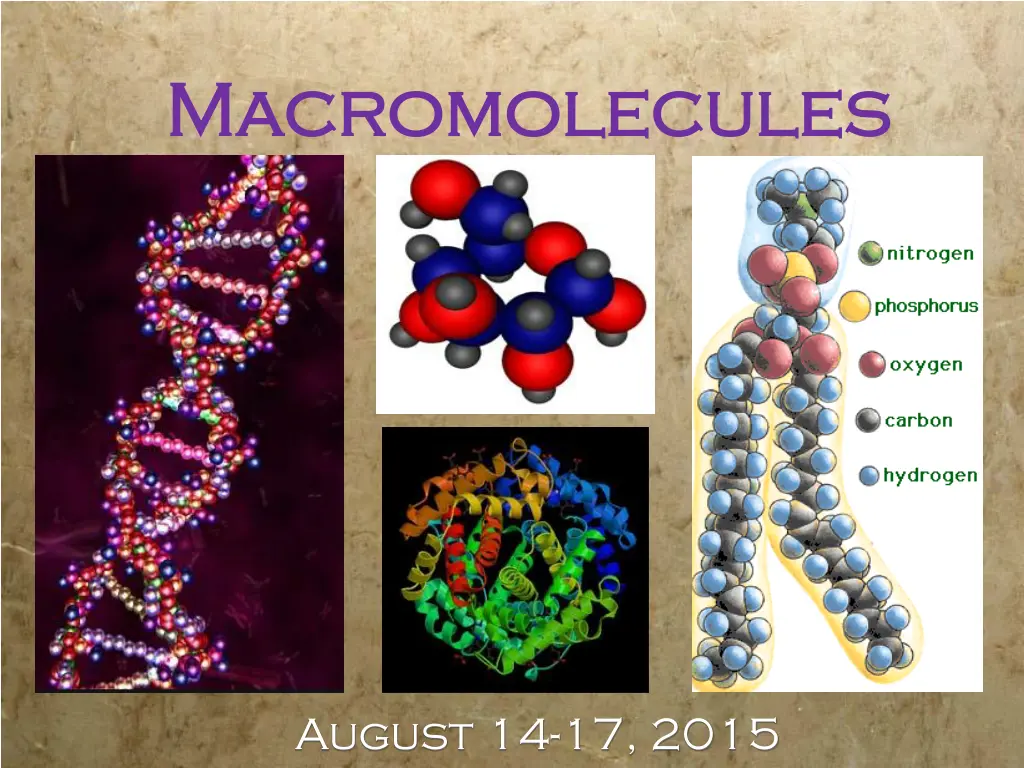macromolecules macromolecules