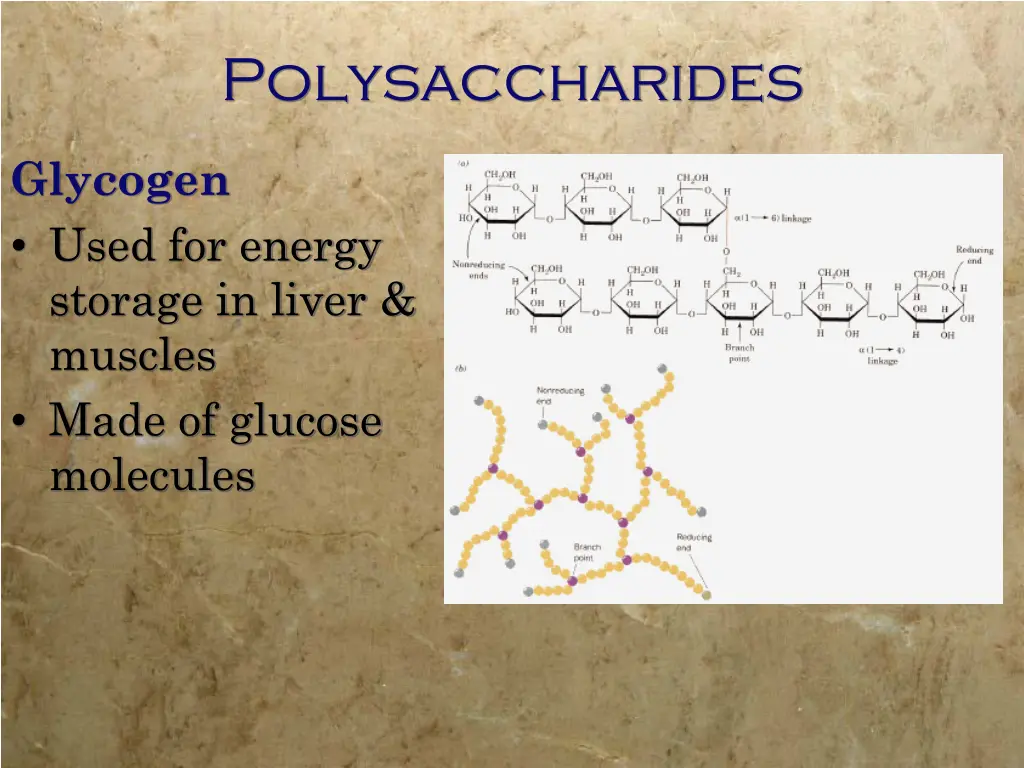 polysaccharides