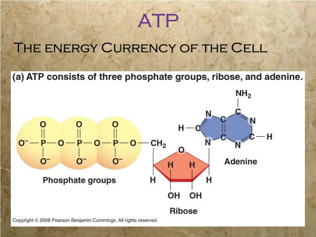 slide23