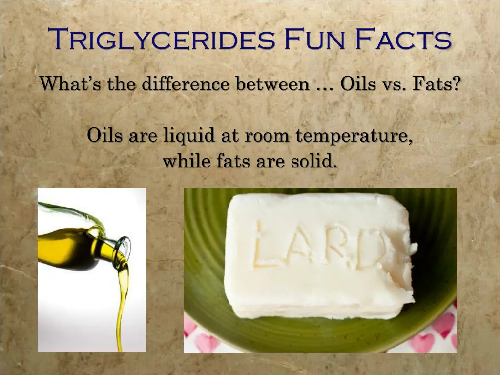 triglycerides fun facts 1