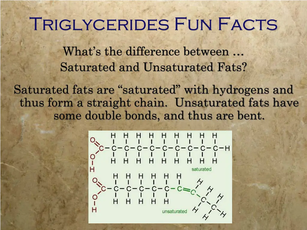 triglycerides fun facts 3