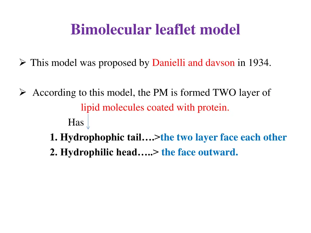 bimolecular leaflet model