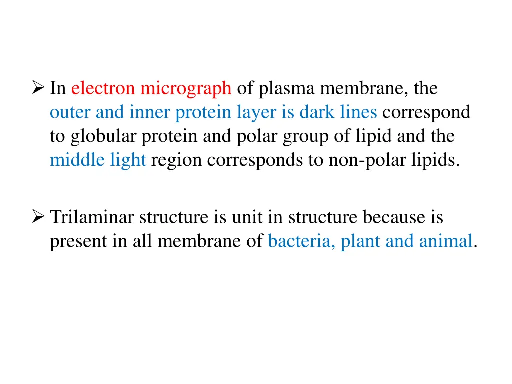in electron micrograph of plasma membrane
