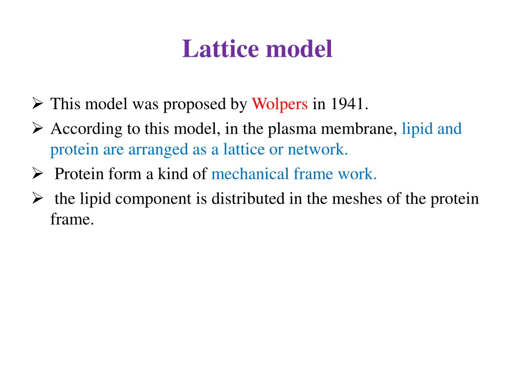 lattice model