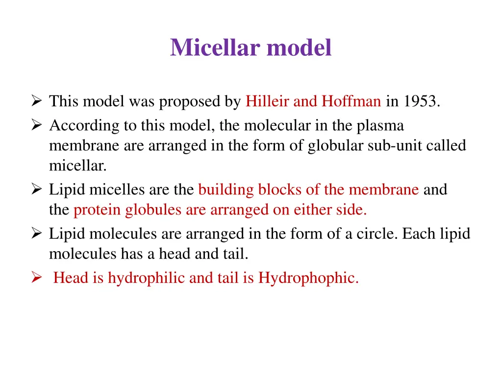 micellar model
