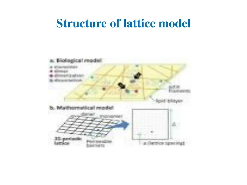 structure of lattice model