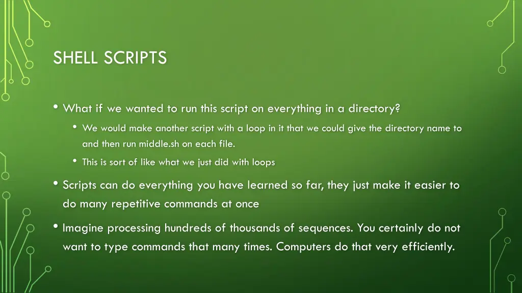 shell scripts 6