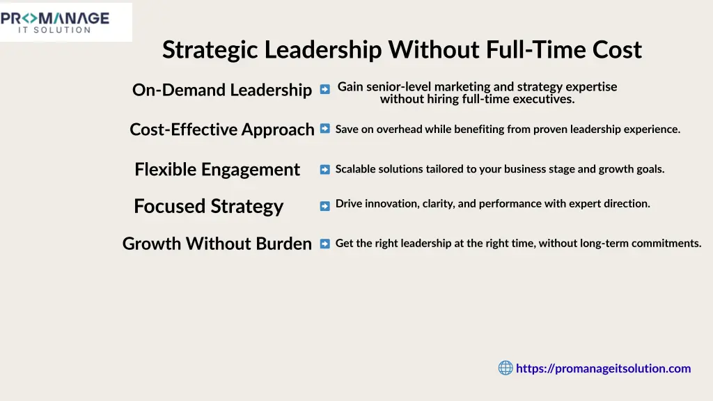 strategic leadership without full time cost