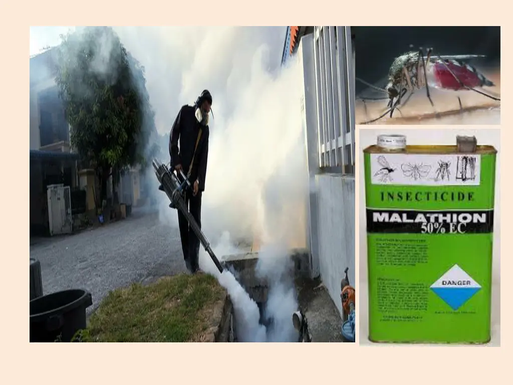 slide18