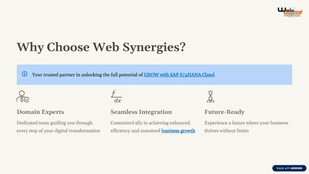 why choose web synergies