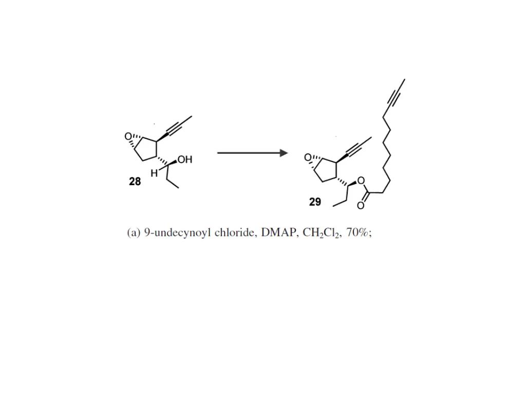 slide23