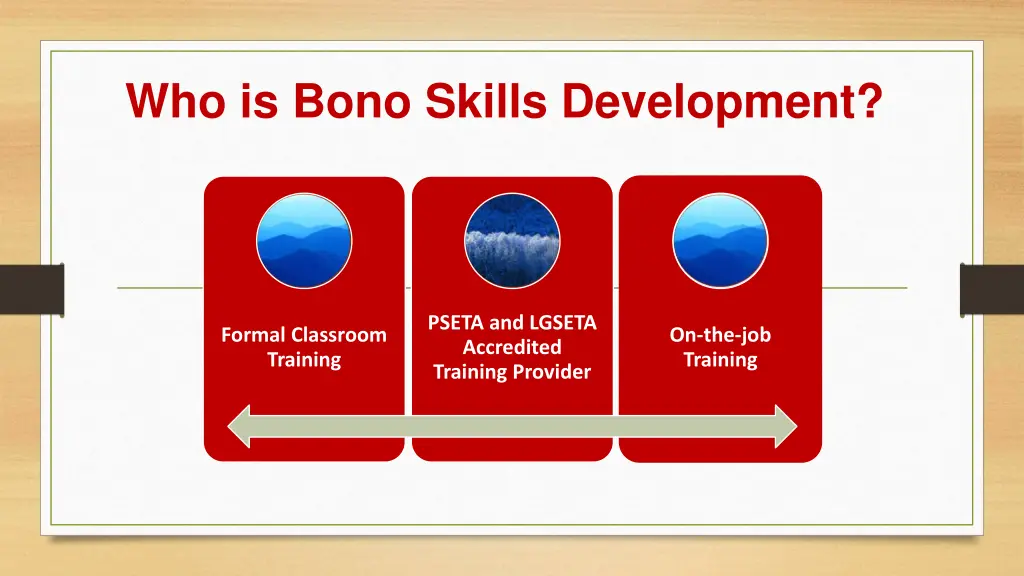 who is bono skills development