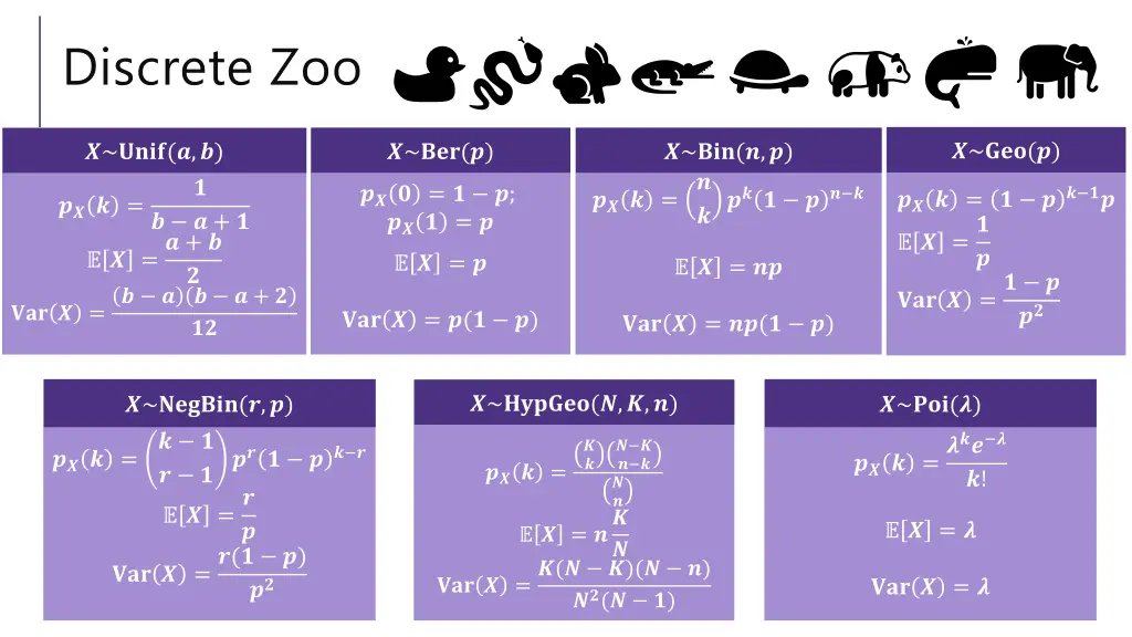 discrete zoo