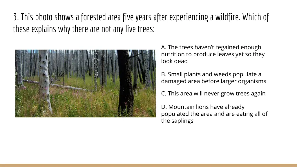 3 this photo shows a forested area five years