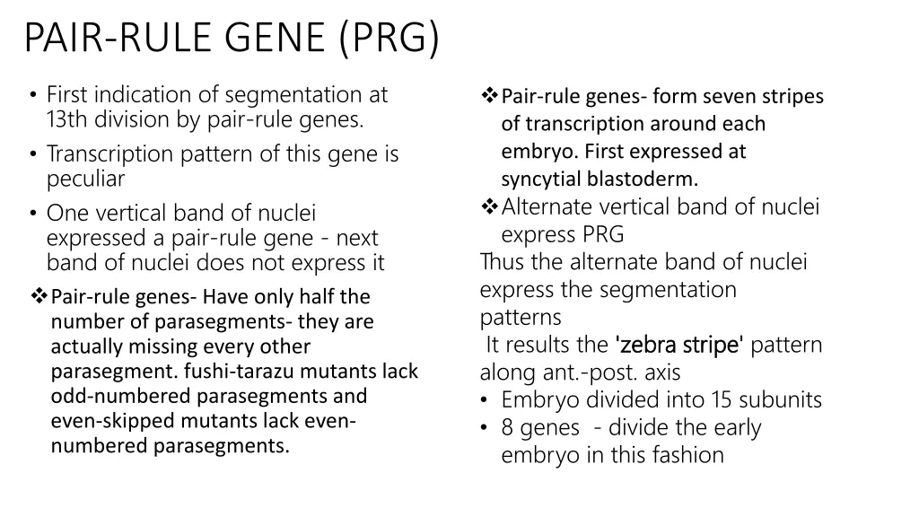 pair rule gene prg