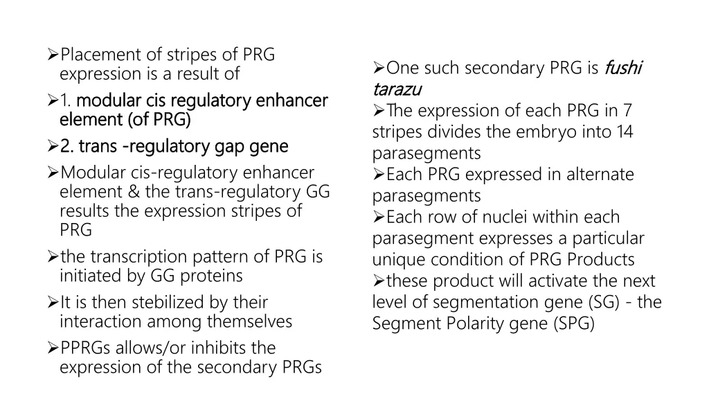 placement of stripes of prg expression