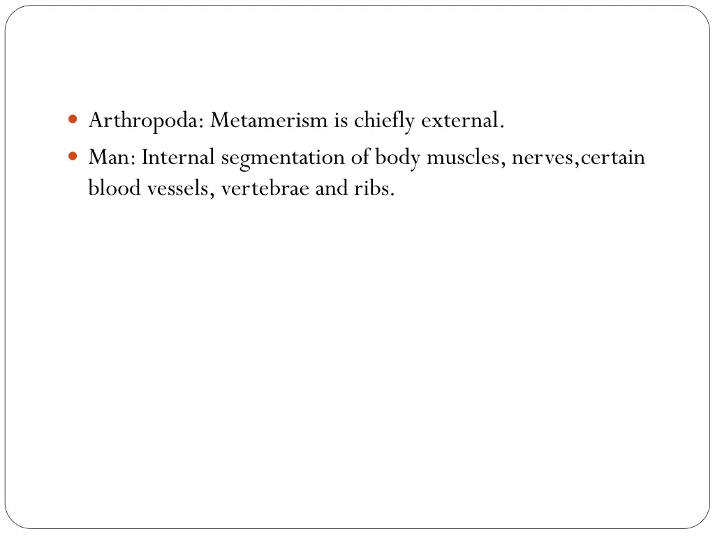 arthropoda metamerism is chiefly external
