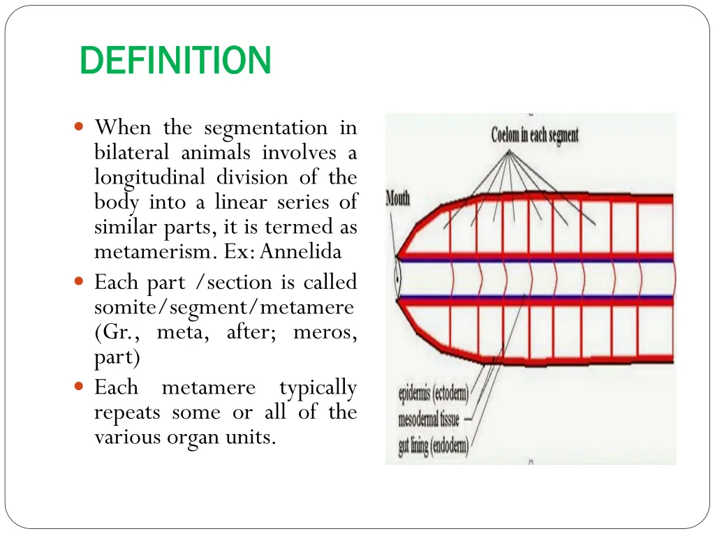 definition definition