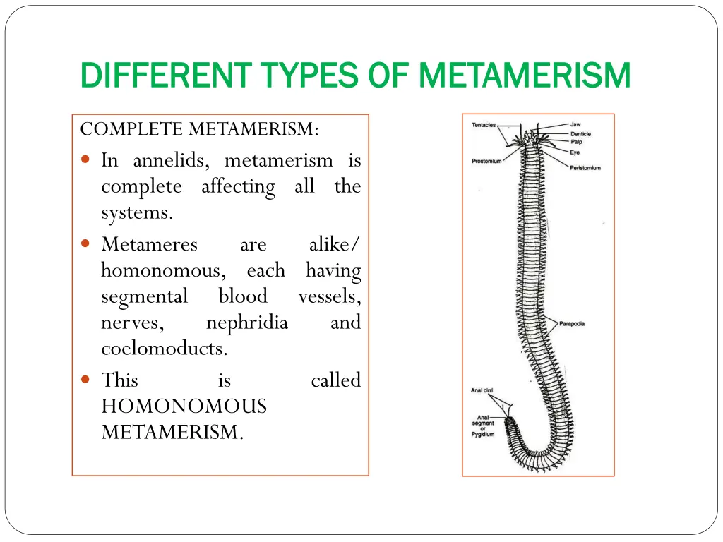 different types of metamerism different types