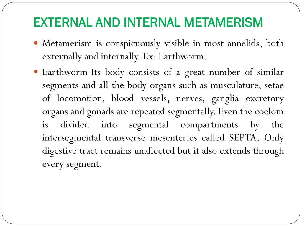 external and internal metamerism external