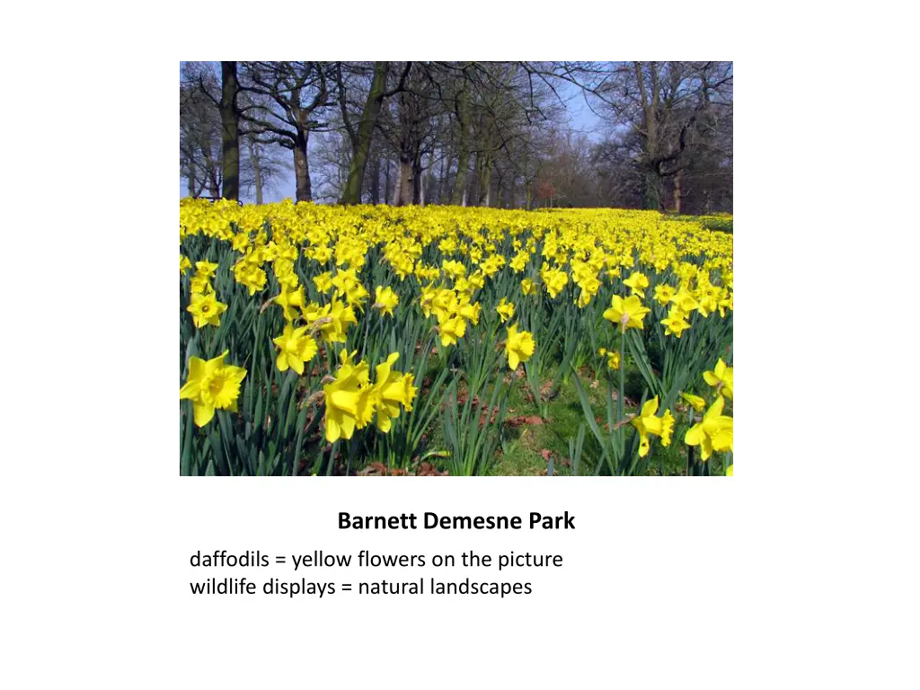barnett demesne park