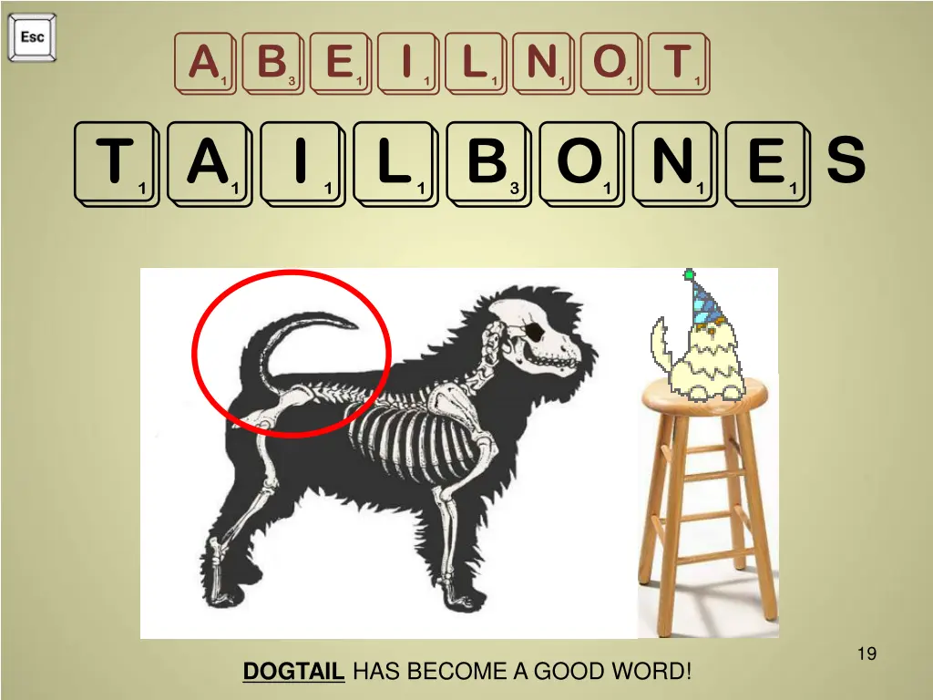 abeilnot tailbone s