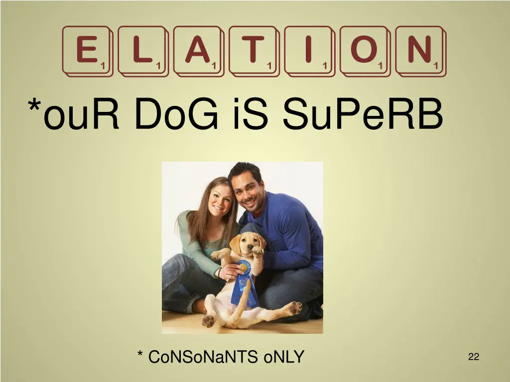 elation our dog is superb 1