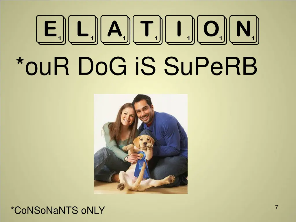 elation our dog is superb