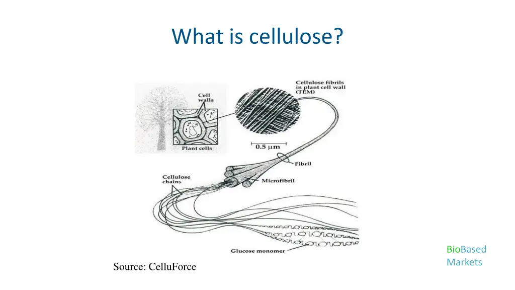 what is cellulose 1