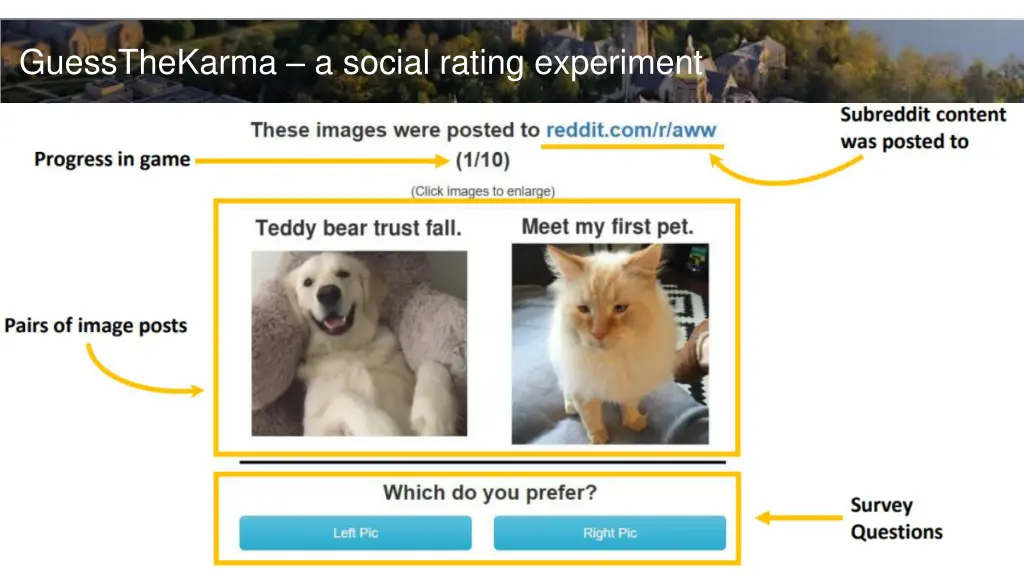 guessthekarma a social rating experiment
