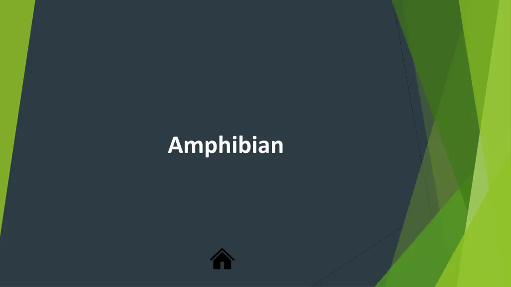 amphibian