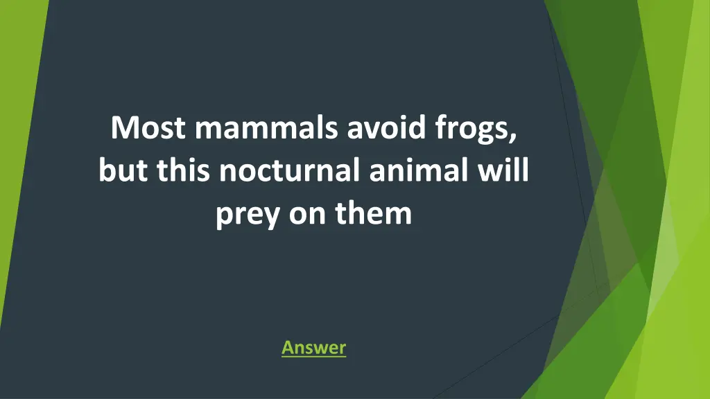 most mammals avoid frogs but this nocturnal
