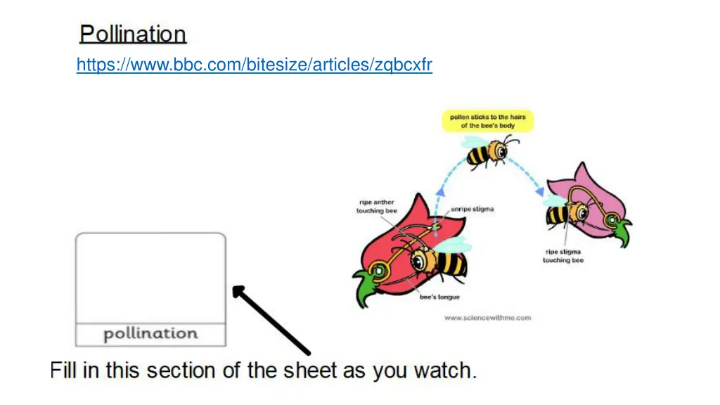 https www bbc com bitesize articles zqbcxfr