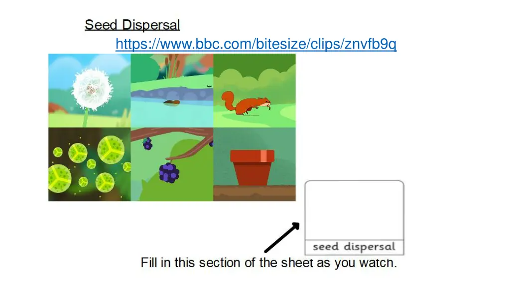 https www bbc com bitesize clips znvfb9q