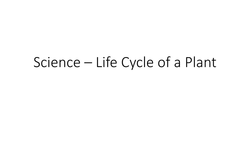 science life cycle of a plant
