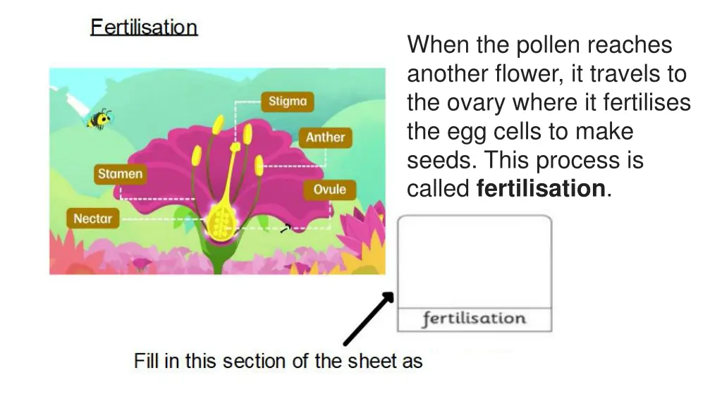 when the pollen reaches another flower it travels