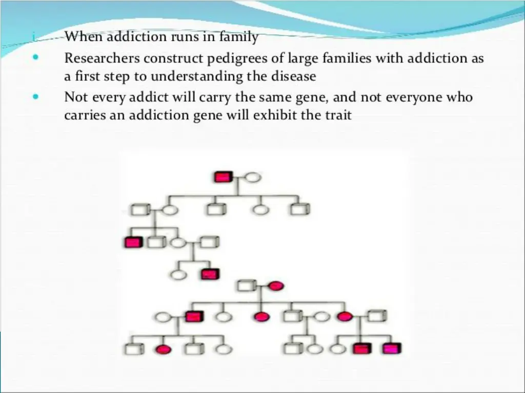 slide24